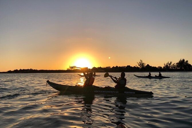 Kayak Mangroves Sunrise Experience - Wildlife Moments, From Flamingos to Crocodiles