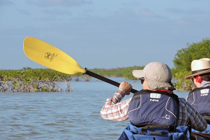 Kayak Sian Ka’an Biosphere Reserve Sunset Tour - Price and logistics: is $150 worth it?
