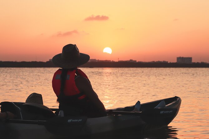 Kayak Tour at Sunset in Cancun - Cancun mangroves, not just another sunset cruise