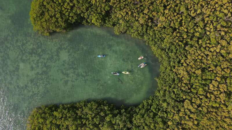 Kayak Tour in Cancun with Photos included - Marina Kaybal meet-up at KM 3.5, and what to expect before you paddle