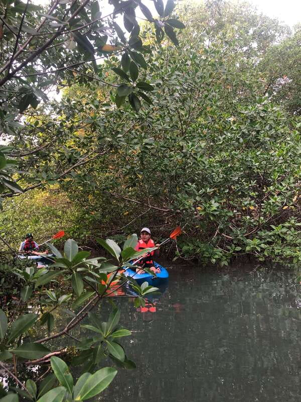 Kayak Tour in Cancun with Photos included - Why this is a sunset favorite in Cancun, not just another boat-like tour