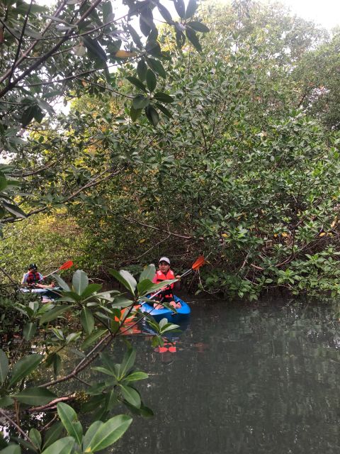 Kayak Tour in Cancun with Photos included - Gear, rules, and what to bring so the trip feels smooth