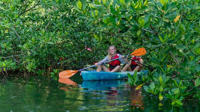 Kayak Tour in Cancun with Photos included - The 2 hours of guided kayaking, calm water and real wildlife spotting