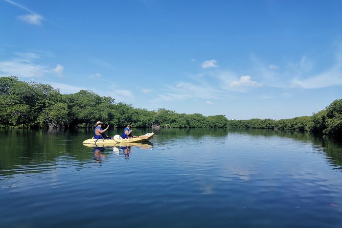 Kayak TOUR POR Laguna Nichupte Cancun - Meet the guides: Axel, Gabby, and the pacing that helps