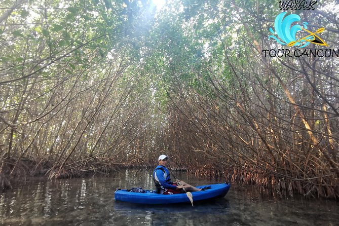 Kayak TOUR POR Laguna Nichupte Cancun - Wildlife expectations: what you can realistically hope to see