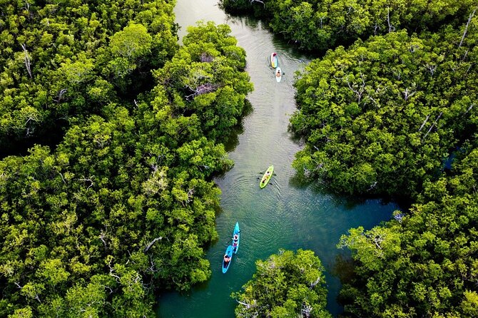 Kayaking Tour in Cancun - Value for Money: Why This Tour Feels Worth It
