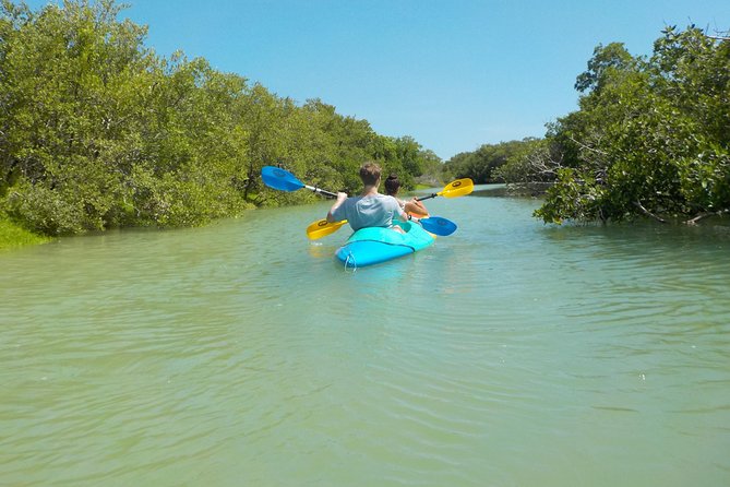 Kayaking Tour Through the Mangroves in Isla Holbox - Where Holbox’s mangroves change your idea of kayaking