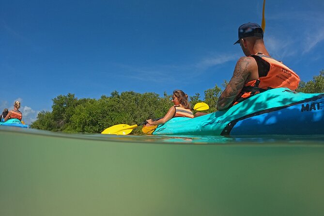 Kayaking Tour Through the Mangroves in Isla Holbox - Paddling reality: calm channels vs open water current