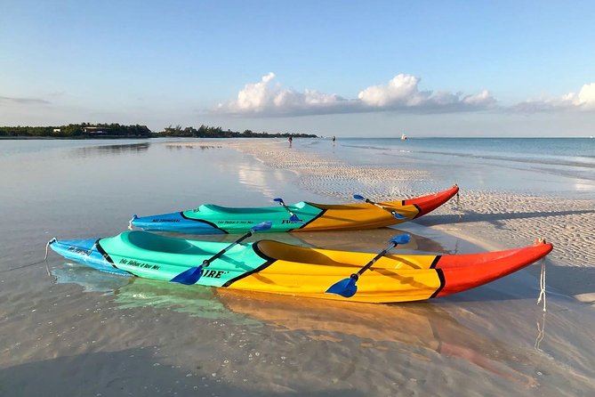 Kayaking Tour Through the Mangroves in Isla Holbox - The 3-hour rhythm: two paddles plus a reset