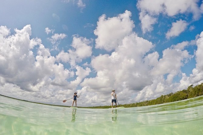 Lagoon Paddleboarding Tour in Tulum - What to bring, and the one big no-sunscreen rule