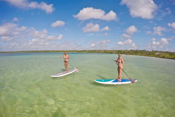 Lagoon Paddleboarding Tour in Tulum - The 4-hour plan, from 9:00 am departure to taco time