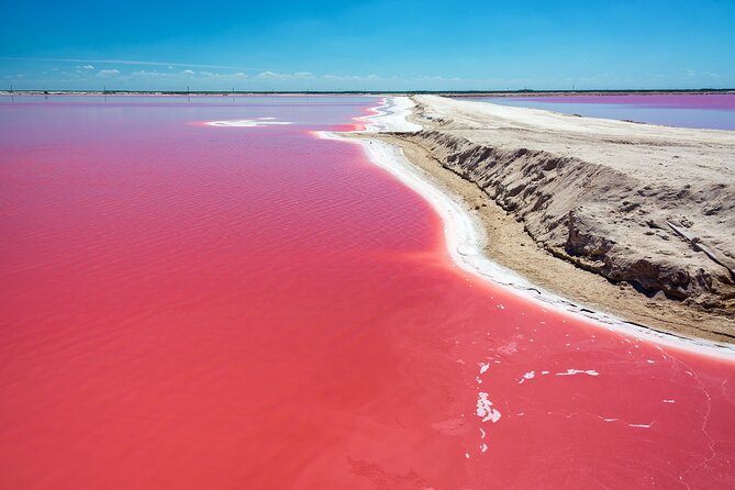 Las Coloradas Pink Lake & Rio Lagartos Guided Tour - Key Highlights Worth Your Time