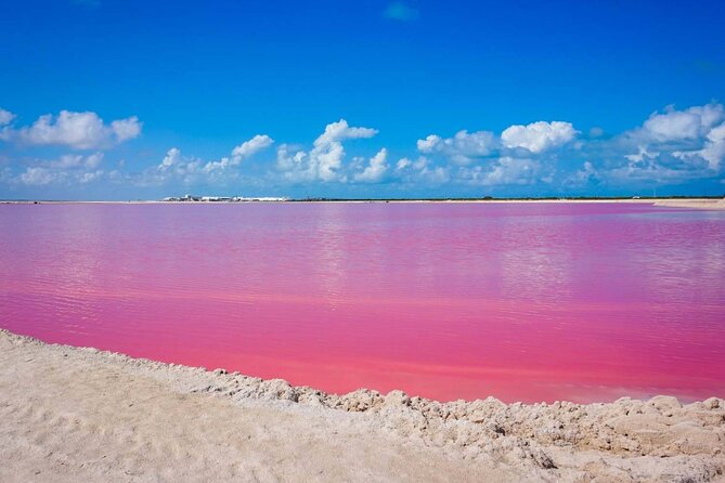 Las Coloradas, Río Lagartos and Playa Cancunito Tour from Mérida - Key highlights at a glance