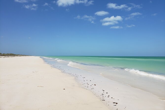 Las Coloradas, Río Lagartos and Playa Cancunito Tour from Mérida - Price and Logistics: What Your $119.42 Really Buys