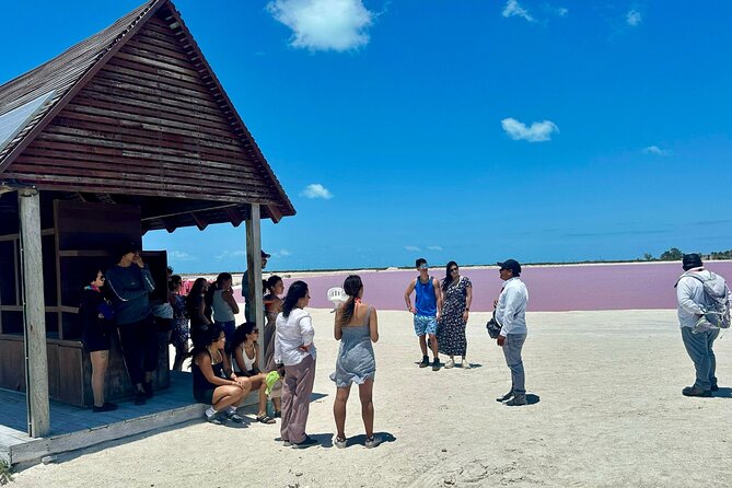 Las Coloradas, Río Lagartos and Playa Cancunito Tour from Mérida - Who This Tour Fits Best