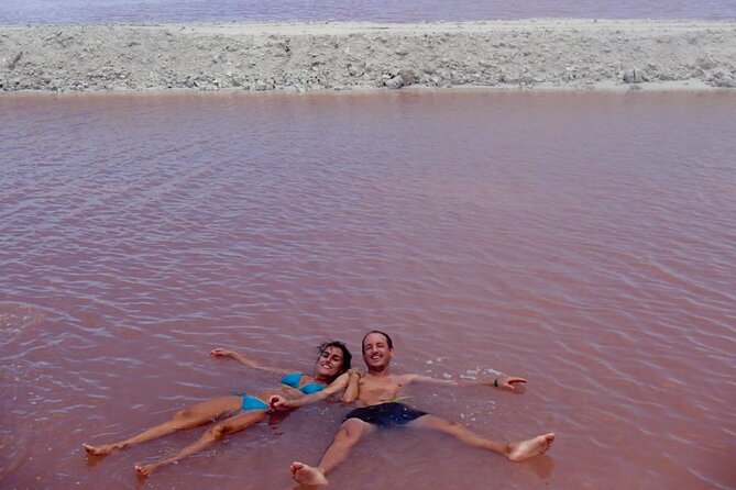 Las Coloradas & Rio Lagartos Tour from Cancún - Rio Lagartos boat ride: mangroves, birds, and crocodiles up close
