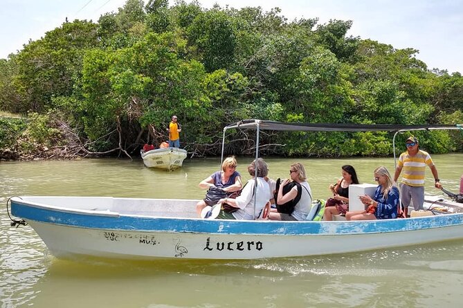 Las Coloradas Tour! Boat Ride, Lunch & Rio Lagartos from Cancun - Salt production and the Mayan mud bath, the hands-on part