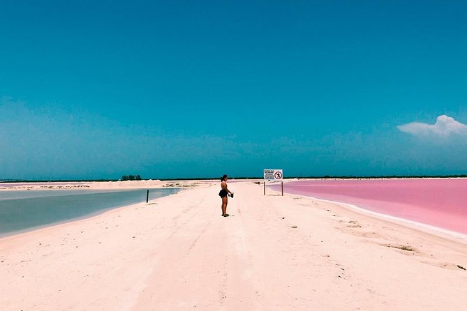 Las Coloradas Tour! Boat Ride, Lunch & Rio Lagartos from Cancun - Rio Lagartos Biosphere Reserve: mangroves, a boat ride, and crocodile odds