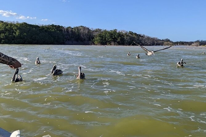 Las Coloradas Tour! Boat Ride, Lunch & Rio Lagartos from Cancun - Meals on the day: box lunch plus a local restaurant plate