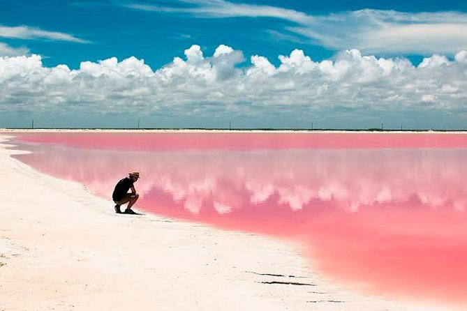 Las Coloradas Tour! Boat Ride, Lunch & Rio Lagartos from Cancun - Las Coloradas: pink lagoons, flamingos, and photo time that matters