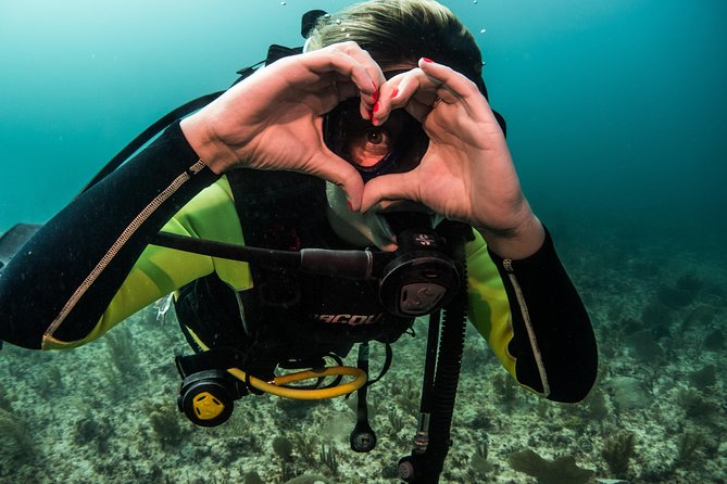 Local Dive in Playa del Carmen - Why Playa del Carmen works for a 2-tank trip