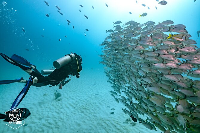 Local Dive in Playa del Carmen - Certification-level planning: what changes with experience