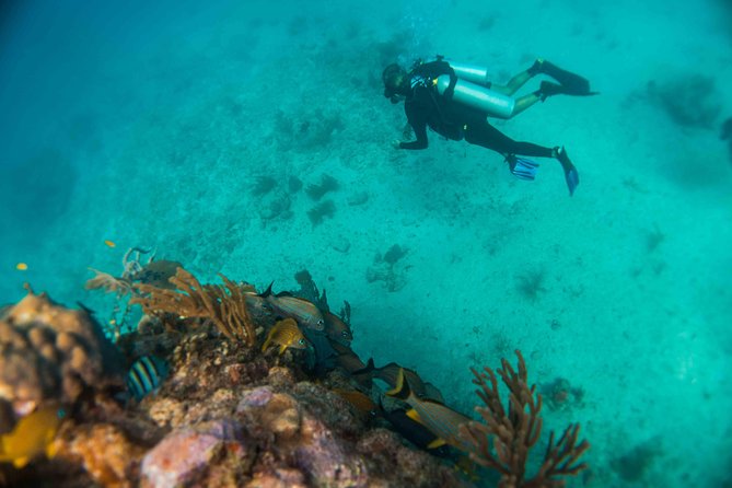 Local Dive in Playa del Carmen - Safety, comfort, and why this matters more than you think