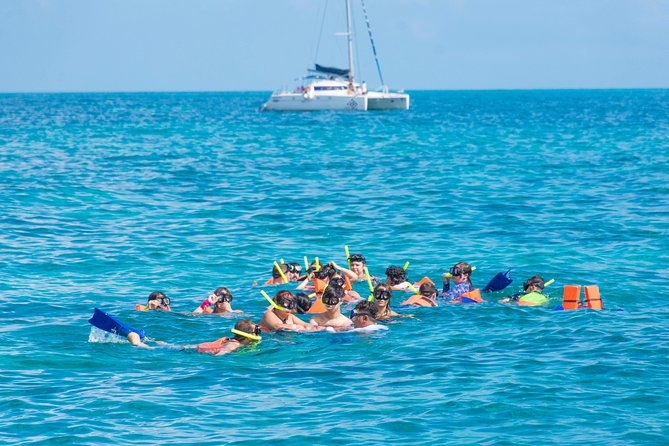 Luxury Catamaran tour to Isla Mujeres with transportation from Playa del Carmen - Isla Mujeres First Stop: The Coral Reef Snorkel Setup
