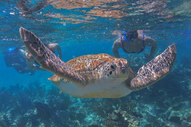 Luxury Sailing & Snorkeling Experience from Riviera Maya - A luxury catamaran day that starts with real convenience