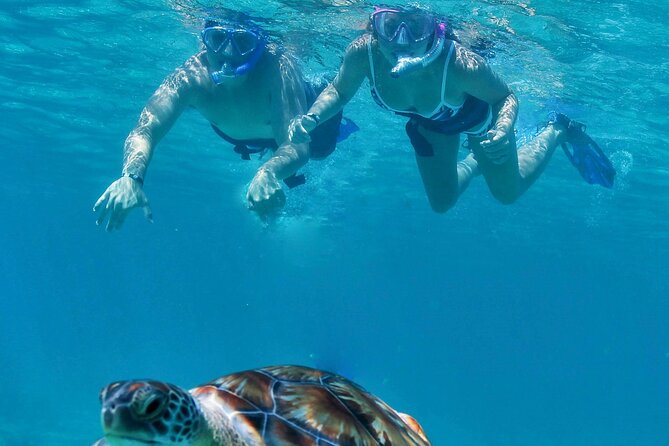 Luxury Sailing & Snorkeling Experience from Riviera Maya - Getting from your hotel to Puerta Aventuras, without losing the day