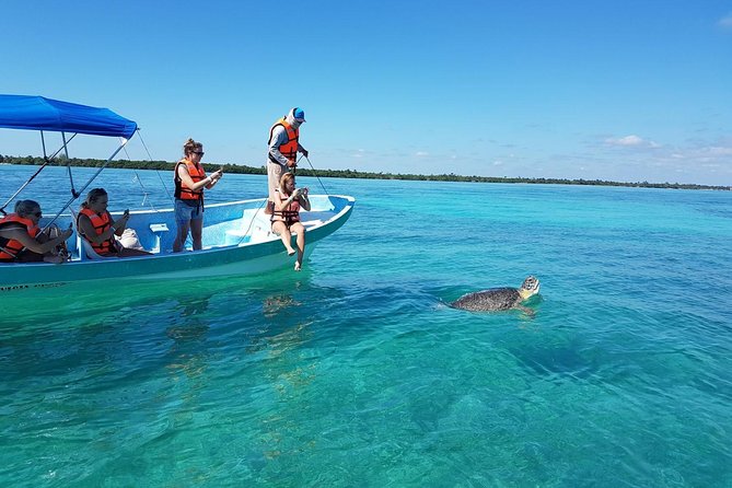 Magic Sian ka'an Deluxe two boats - From Tulum to the reserve: the morning route and what to expect