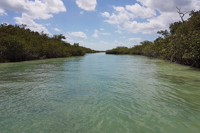 Magic Sian ka'an Deluxe two boats - Boat safari part 2: dolphins, sea turtles, and reef snorkeling