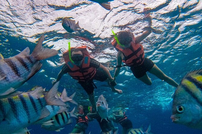 Magnificent Exploration to El Cielo Palancar and Columbia Reefs - Columbia Reef: The Deep Stop That Can Feel Like a Different World
