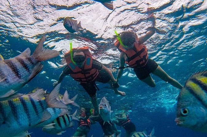 Magnificent Exploration to El Cielo Palancar and Columbia Reefs - El Cielito Beach: Shallow Water, Mantas, and a Lot of Hang Time