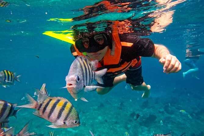 Magnificent Exploration to El Cielo Palancar and Columbia Reefs - Price and Logistics: The $23 Deal Plus a 450 MXN Add-On