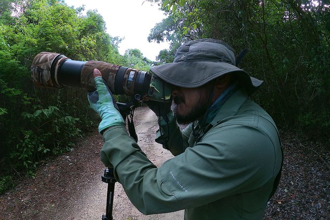 Mahahual and Costa Maya Birdwatching - How the 7:00 am start changes your birding odds