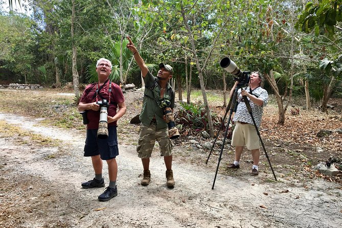 Mahahual and Costa Maya Birdwatching - Pickup that actually works for cruise days