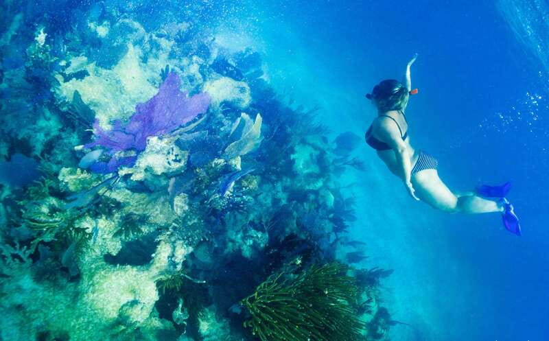 Mahahual: Snorkel Tour in Reef Lagoon - The Short Speedboat Ride: Quick to the Reef, Easy on Your Time