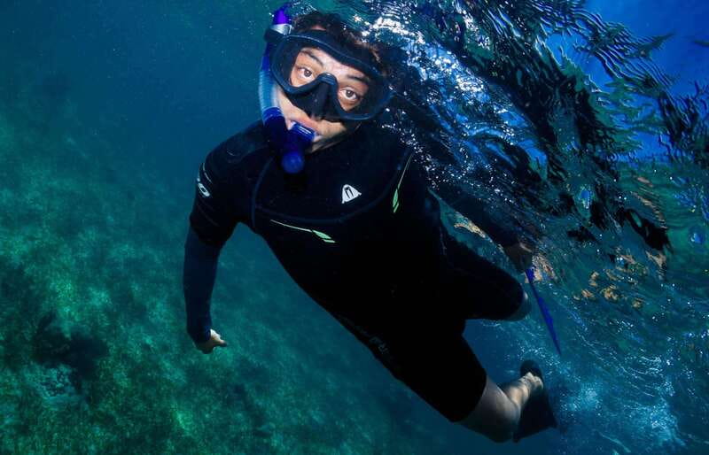Mahahual: Snorkel Tour in Reef Lagoon - Safety, Rules, and the One Detail You Should Not Ignore
