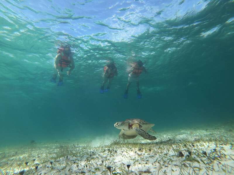 Mahahual: Snorkel Tour in Reef Lagoon - Price and Value: Is $37 Worth It?
