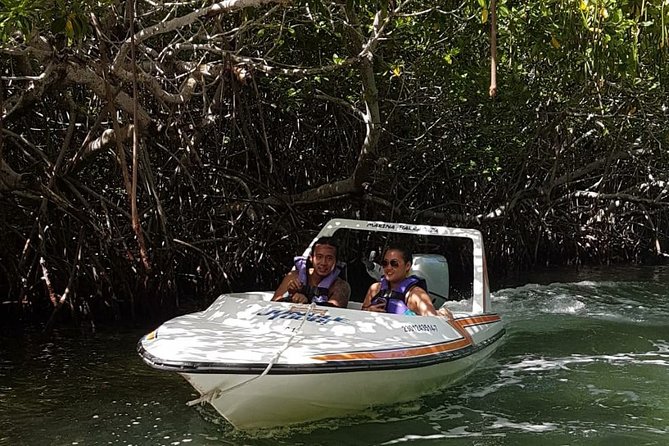 Mangrove and Lagoon Speed Boat Tour - Snorkeling Gear and the Private Beach Question