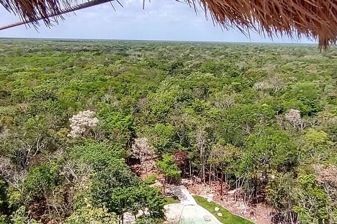 Maya Adrenaline: ATV, Ziplines & Cenote From Playa del Carmen. - ATV time: driving your own machine through jungle mud roads