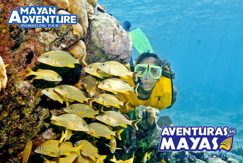 Mayan Adventure - 3 different snorkeling sites in one day! - Pickup, Small-Group Comfort, and the Rhythm of the Day