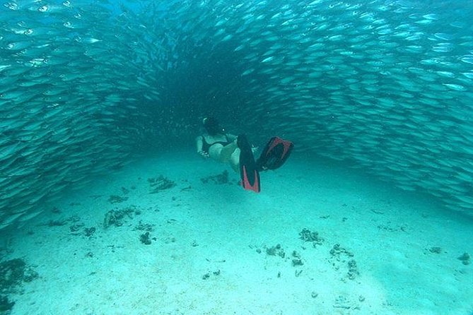 Mayan Adventure from Cancun - Who this tour fits best (and who should skip it)