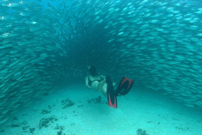 Mayan Adventure from Playa del Carmen - Entering The Water Around Cancun: transport, timing, and what to expect