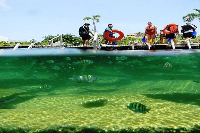 Mayan Adventure from Playa del Carmen - Cenote Finish: sinkhole magic with a natural pool feel