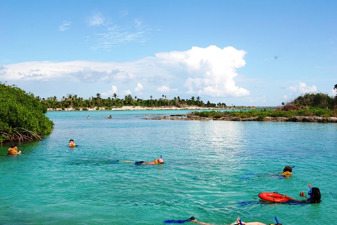 Mayan Adventure Snorkeling Tour from Playa del Carmen or Riviera Maya - Three ecosystems in one Playa del Carmen snorkeling day