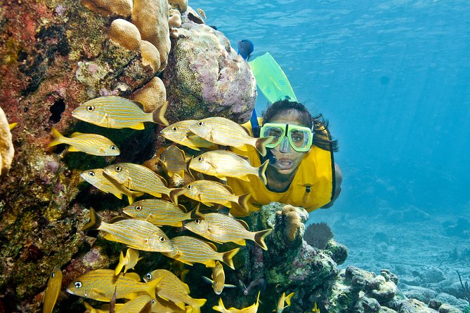 Mayan Adventure Snorkeling Tour from Playa del Carmen or Riviera Maya - Getting to Aventuras Mayas and the 7:00 am start time
