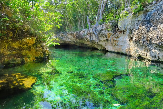 Mayan Cenotes Experience with Mayan Ruins or Local Community - Cenote Caracol Snorkeling: What Young Caverns and Clear Water Feel Like