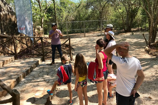 Mayan Underworld Experience (Cenote-Museum) - Swimming time in a cave cenote: how it feels and what to prepare